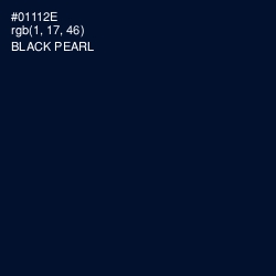 #01112E - Black Pearl Color Image